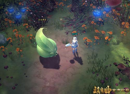【节日活动】感恩节活动之万物生长