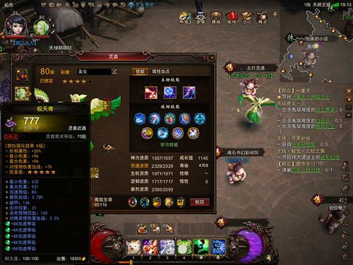 【灵兽】55级灵兽彩翼、岩灵也疯狂