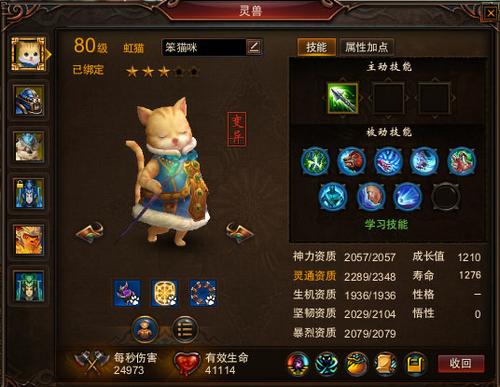 【灵兽】无往不利！谈永不过气的虹猫