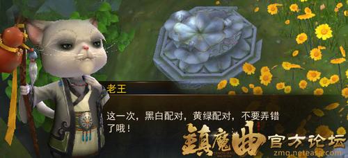 【节日活动】单身节活动之非诚勿扰