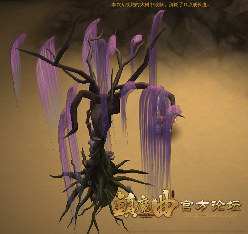 【节日活动】植树节活动之植树达人