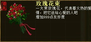 红玫瑰/玫瑰花束