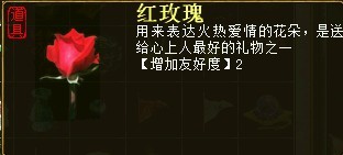红玫瑰/玫瑰花束