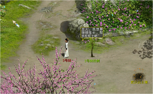 2016年清明节活动