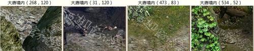 清明任务-胜日寻芳图集